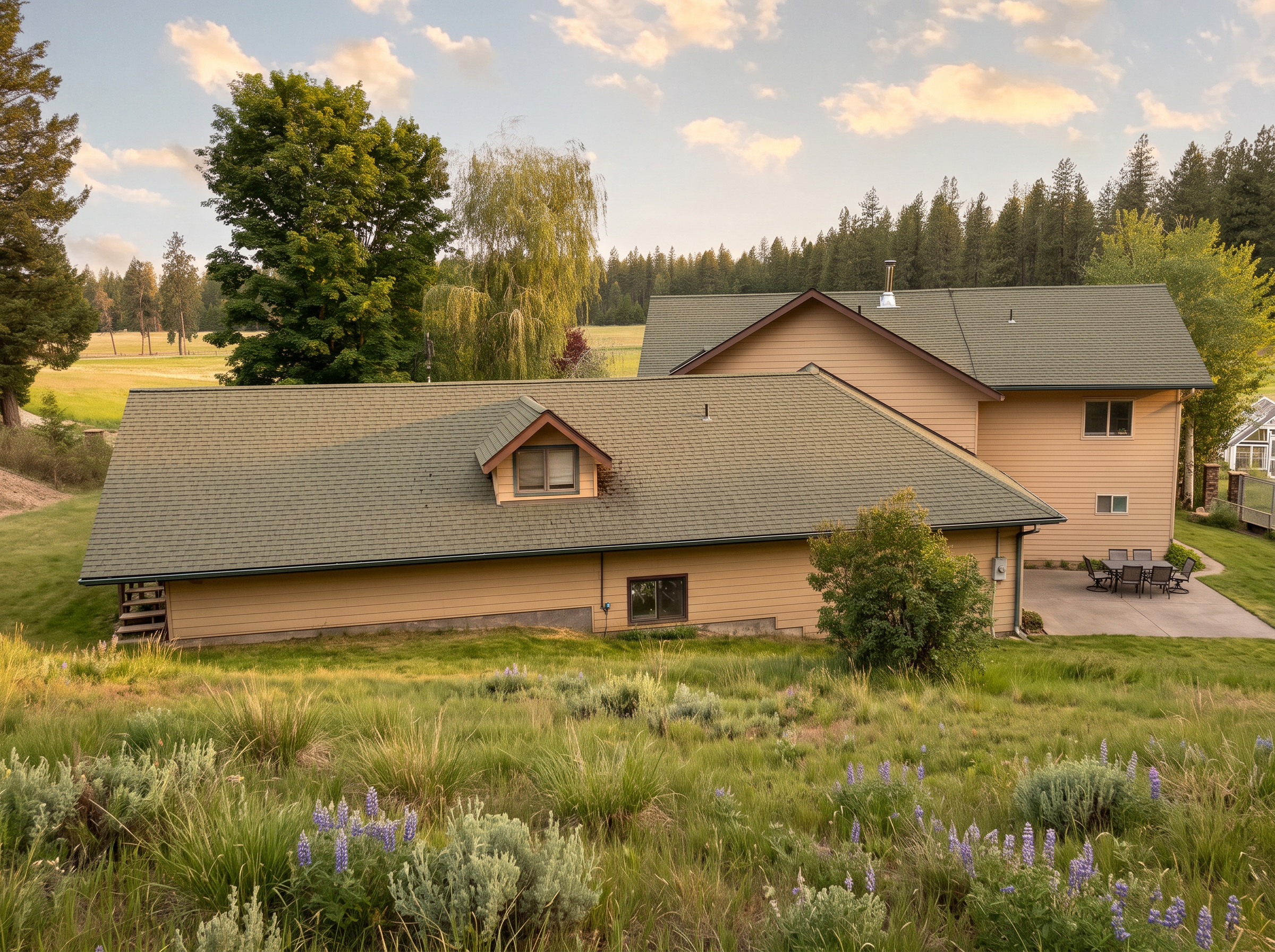The lodge seen from the hillside above, green roofs and a willow with the hay meadow and forest beyond