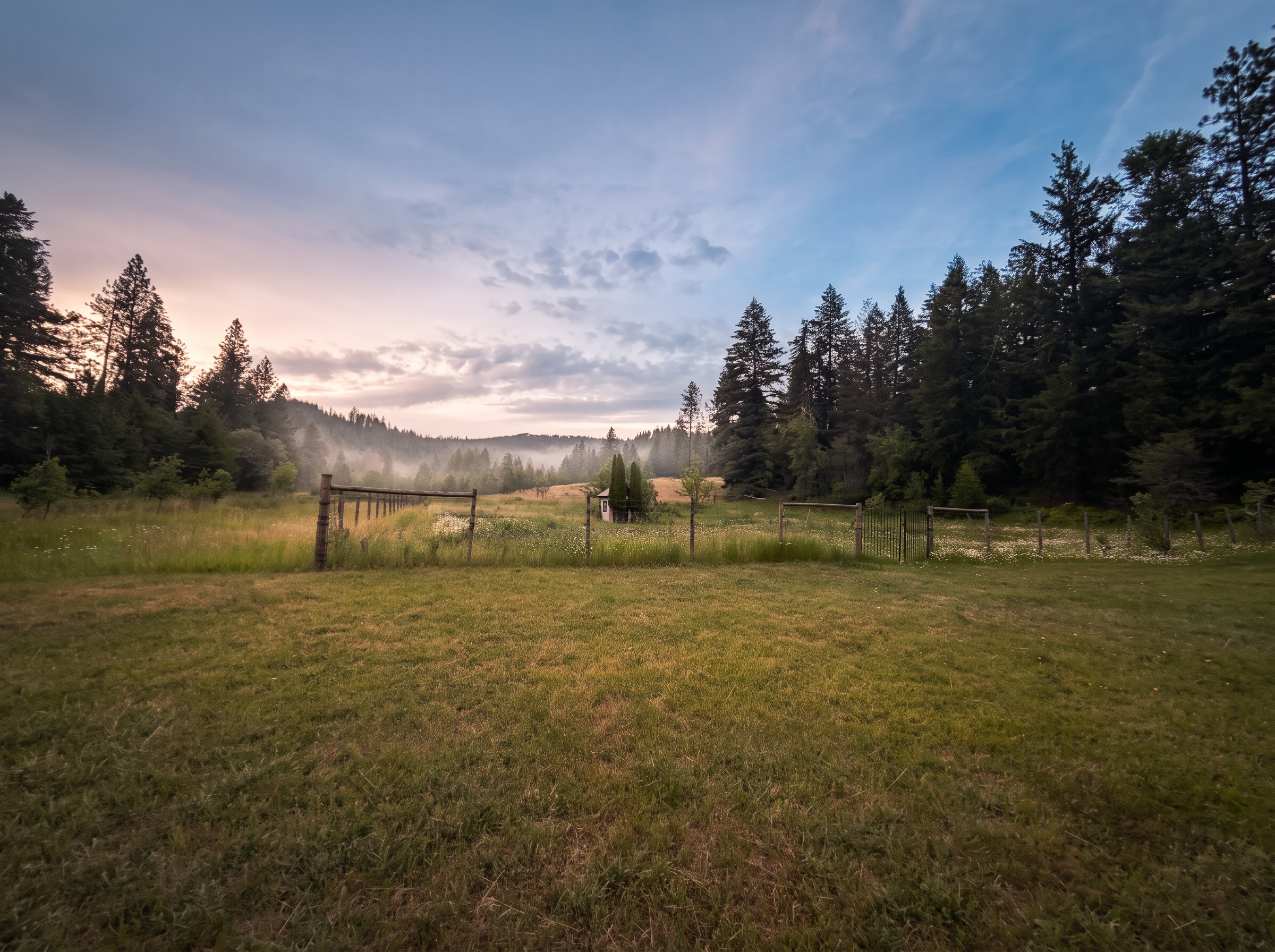 The orchard meadow at dusk, with the ridge line beyond